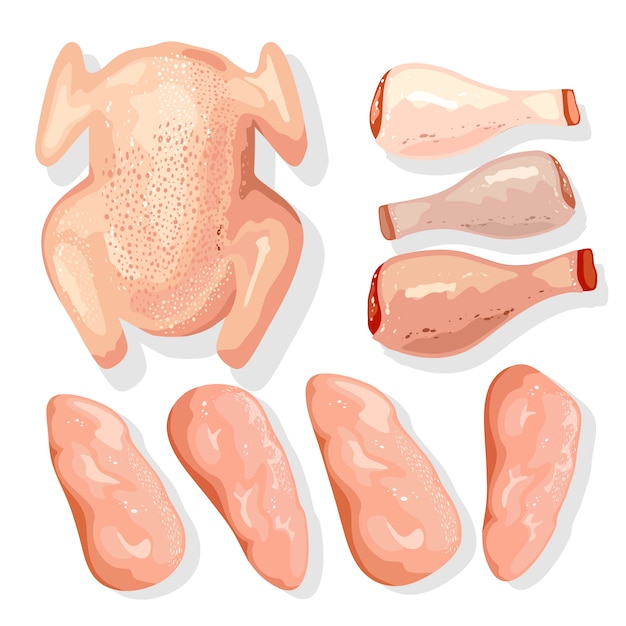 Vector raw chicken meat set