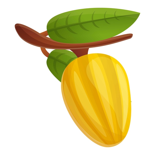 Raw cocoa fruit icon Cartoon of raw cocoa fruit vector icon for web design isolated on white background