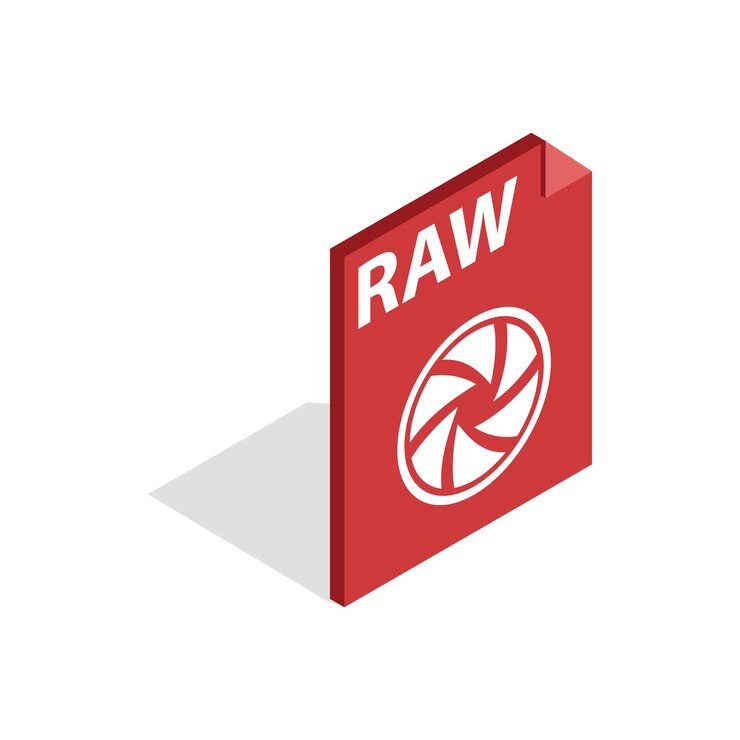 Vector raw format icon in isometric 3d style isolated on white background