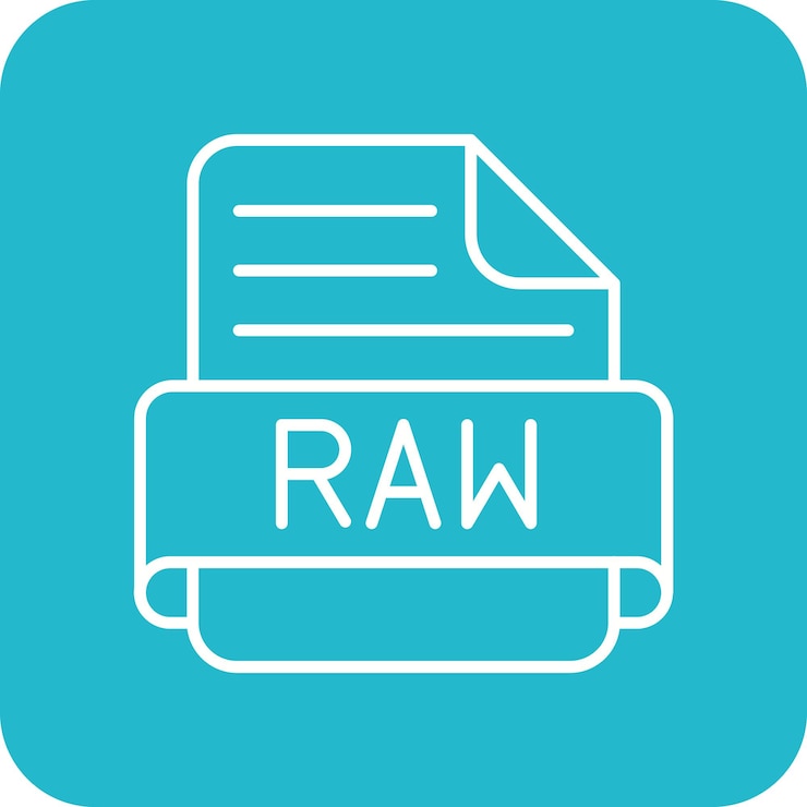 Vector raw icon