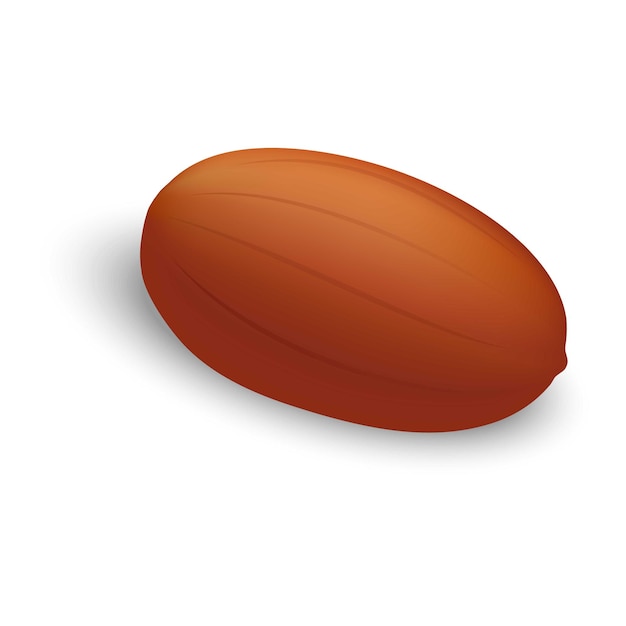 Raw peanut icon Realistic illustration of raw peanut vector icon for web design