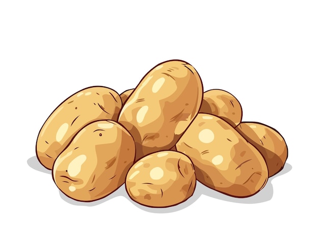 Patate crude su sfondo bianco illustrazione vettoriale di patate fresche crude non sbucciate