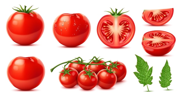 Сырые реалистичные зрелые красные помидоры в целом и на кусочках