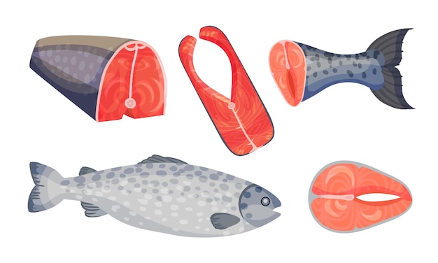 白い背景のベクトルセットに分離された赤い肉を持つ生サーモン魚のスラブ