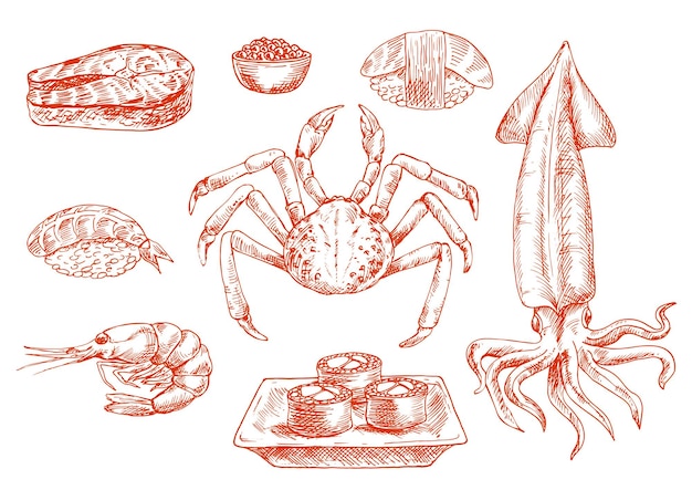 Vector raw seafood cuisine crab and squid