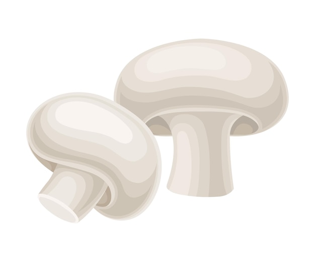Сырые сырые грибы, изолированные на белом фоне