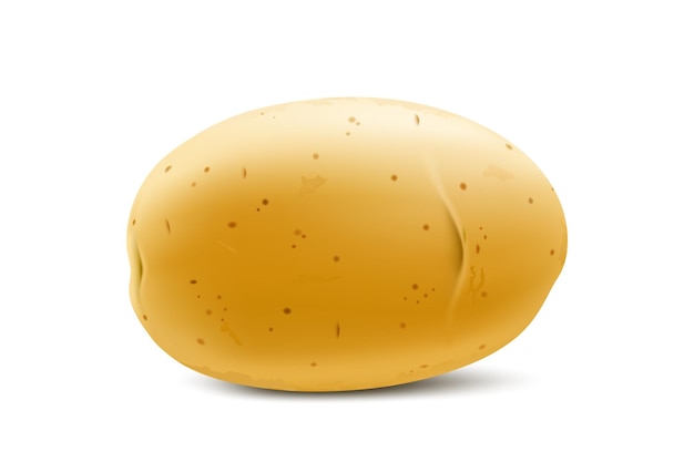 Вектор Сырой цельный желтый картофель макет молодого картофеля для веб-дизайна изолирован на белом фоне овощной свежий натуральный продукт концепция здорового образа жизни 3d реалистичная векторная иллюстрация
