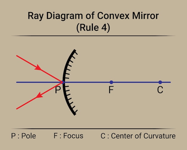 Вектор Лучевая диаграмма выпуклого зеркала. правило 4.