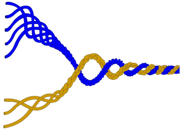 The reading rope the writing rope composition transcription spelling and phonological awareness