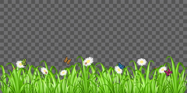 Vector real green grass with flower and butterfly ladybug