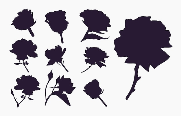 Real modern silhouettes plants herbs drawing flowers begonia bud rose