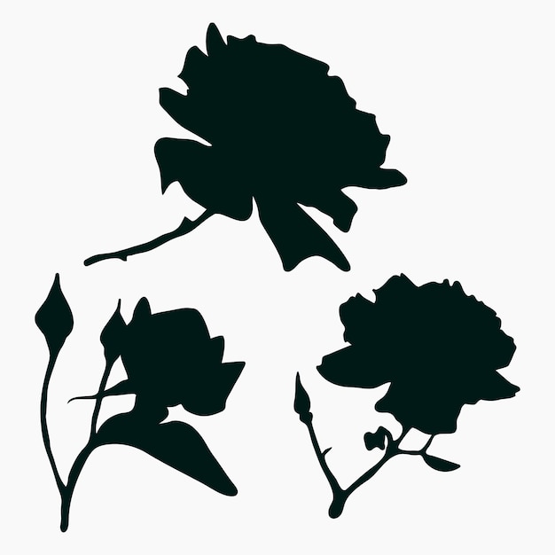 Vector real modern silhouettes plants herbs drawing flowers begonia bud rose