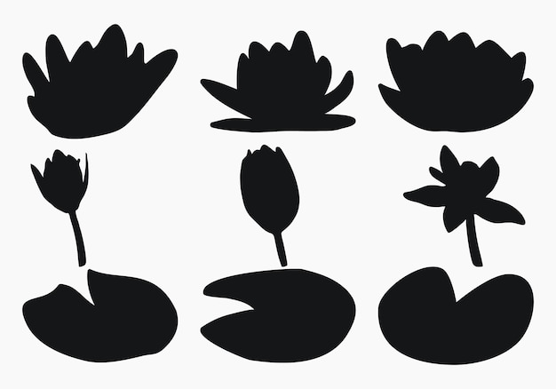 Real modern silhouettes plants herbs Drawing flowers water lily nymphaea Flat design art design