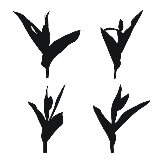 Реальные современные силуэты растений травы рисование тюльпана плоский дизайн художественного дизайна шаблона