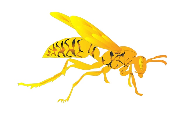 Realestic ant art in illustrator