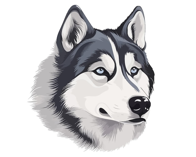 Realisctic husky wolf face vector illustration on isolated white background