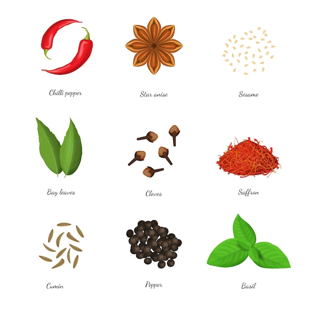 Vector realistic 3d detailed classic spices collection include of clove chili pepper anise star cumin and saffron vector illustration of condiment