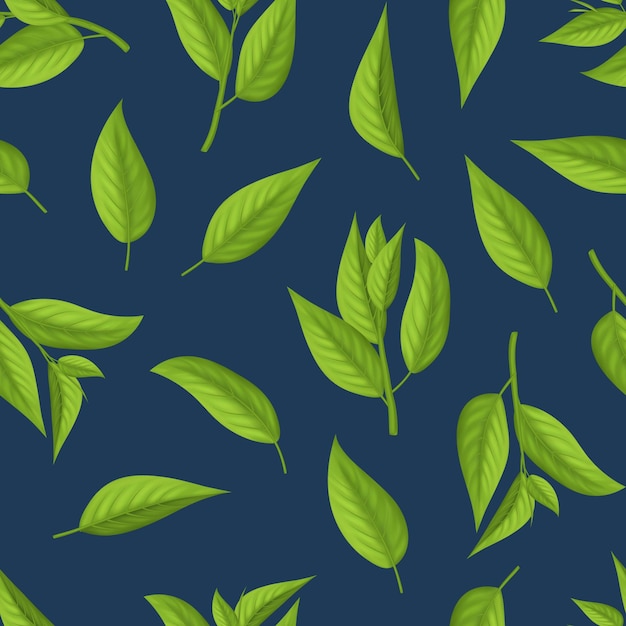 Realistic 3d Detailed Green Tea Leaves Set Vector