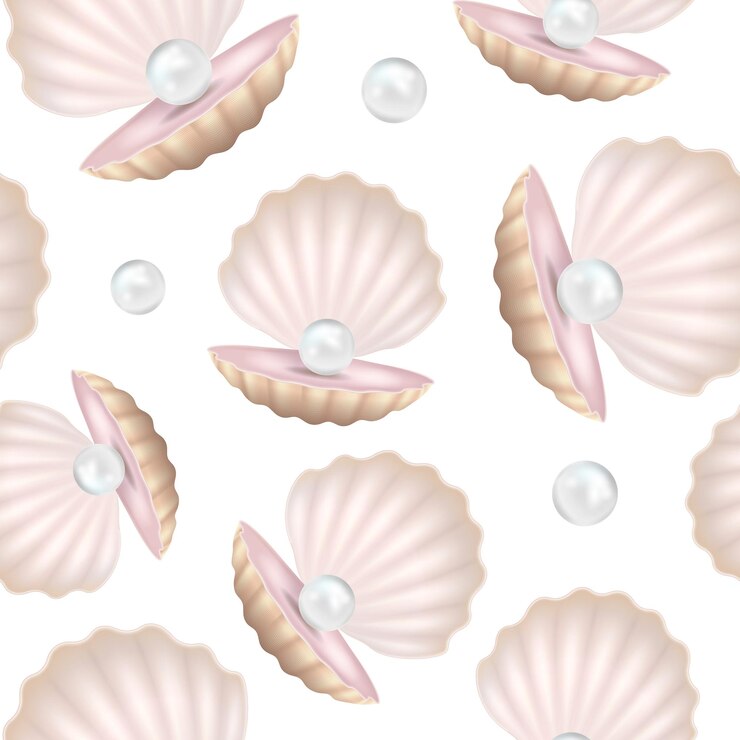 Vector realistic 3d detailed pearl and shell vector