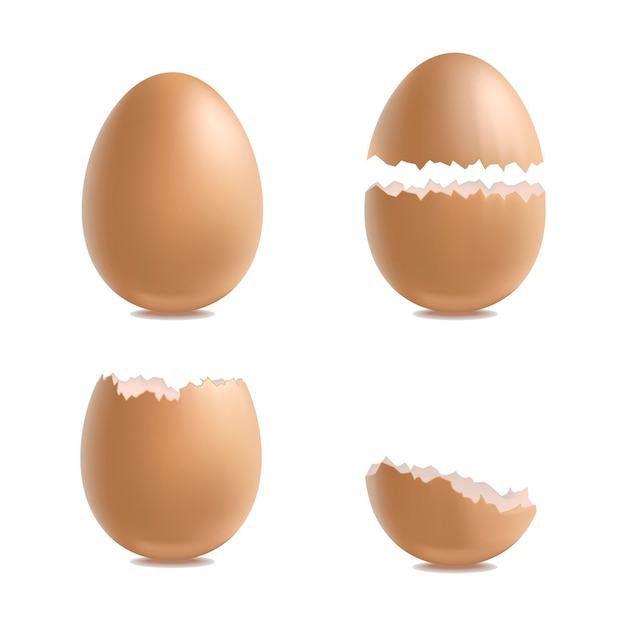 Realistic 3d Detailed Various Closeup Shell Eggs Set Vector