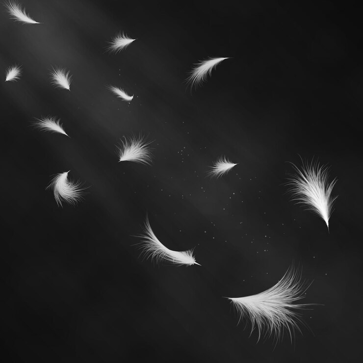 Vector realistic 3d detailed white swan feathers on a black background. vector illustration. falling feathers abstract light composition