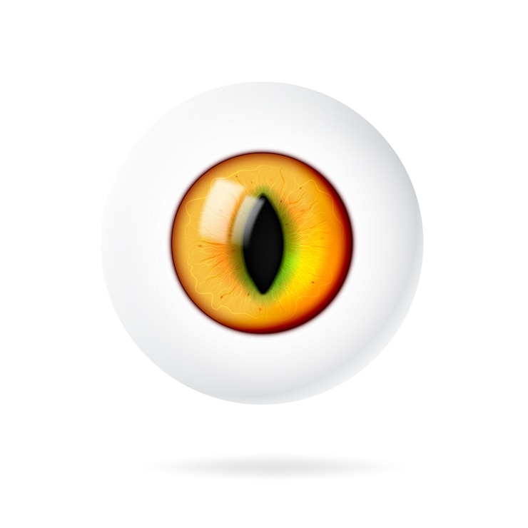 Vector realistic 3d eye of an animal or cat.