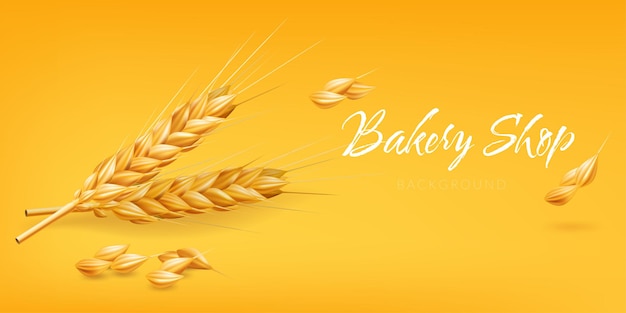 Vector realistic 3d illustration of a golden ear of wheat on a yellow background with seed