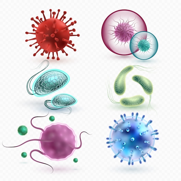 Realistic 3d microscopic viruses and bacteria isolated  set. 