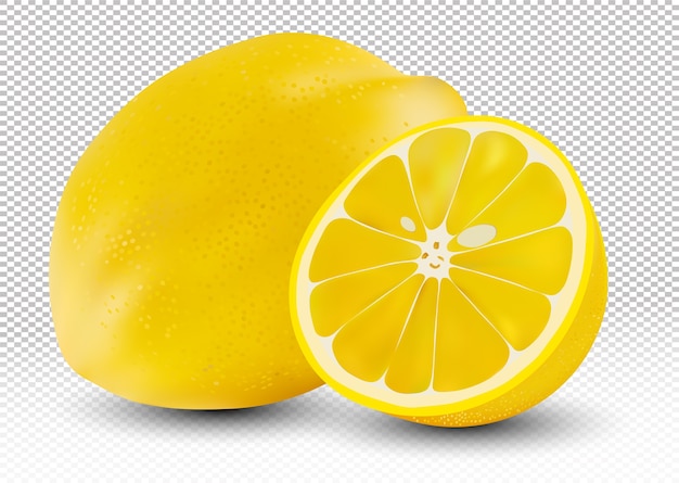Вектор Реалистичный кислый лимон, нарезанный целиком.