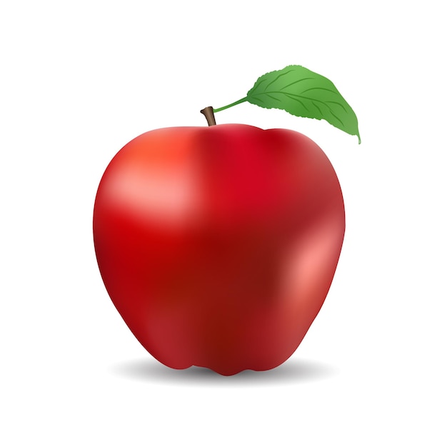 Realistic Apple Illustration Design free