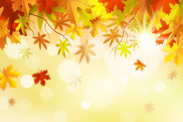 Vector realistic autumn background with leaves