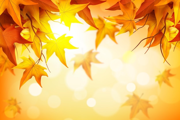 Vector realistic autumn background with leaves