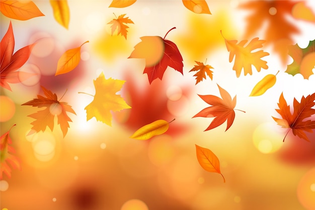 Realistic autumn background