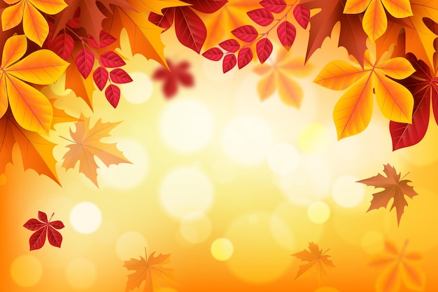Realistic autumn background