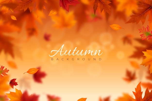 Vettore sfondo realistico per la celebrazione dell'autunno