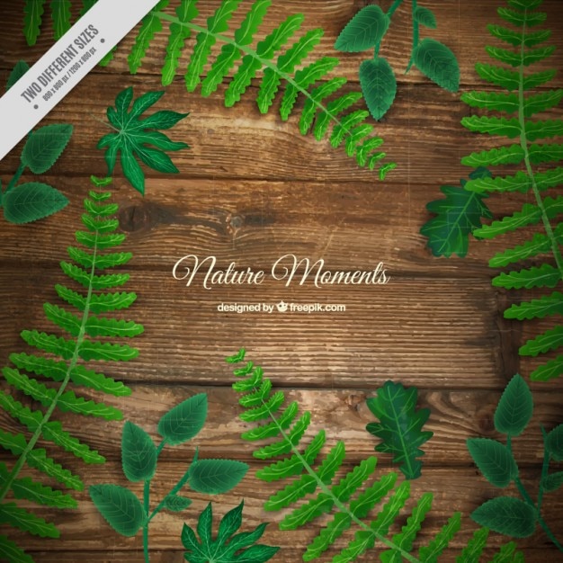 Vector realistic background of wooden floor with leaves