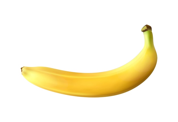 Vettore illustrazione realistica della banana