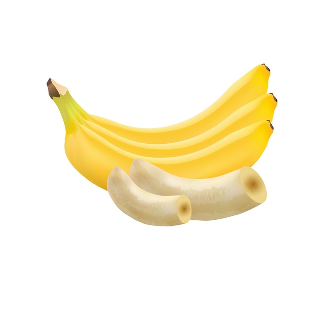 Vector realistic banana