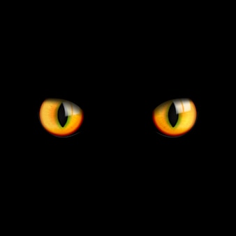 I bei occhi di gatto 3d realistici guardano nell'oscurità sul nero