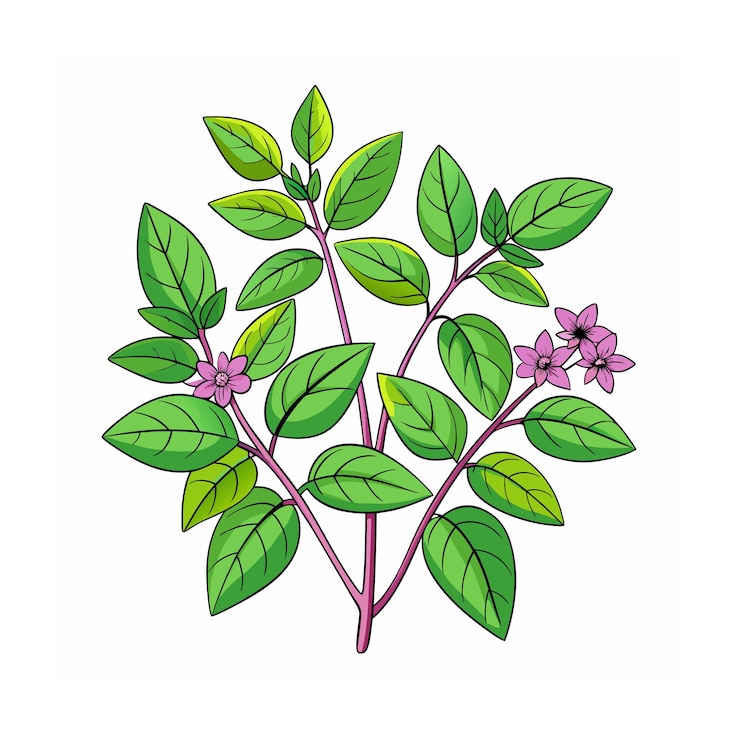 Vector realistic beautiful herbs vector illustration
