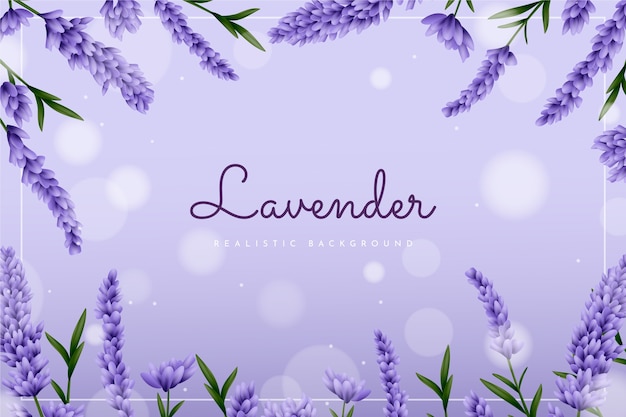 realistic beautiful lavender plants