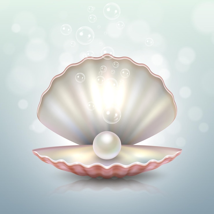 Vector realistic beautiful natural open sea pearl shell closeup with reflection design template