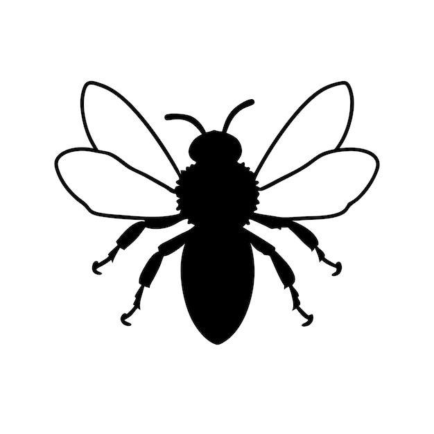 a realistic bee honey in isolate on a white background vector illustration