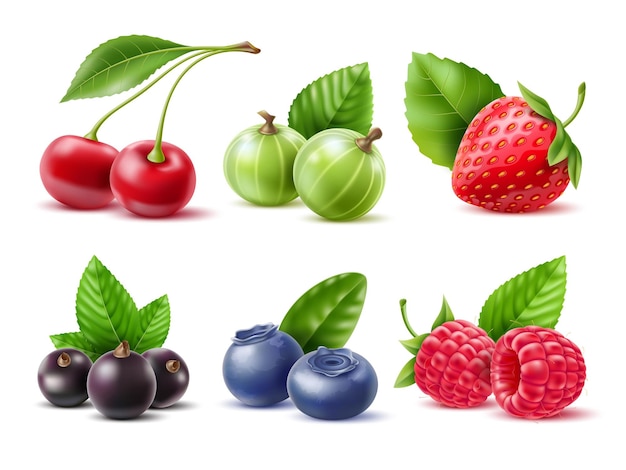 Realistic berries Different seasonal berries and fruits with leaves natural dessert jam or juice Fresh raspberry blueberries and raw strawberry 3d cherry and currant utter vector set