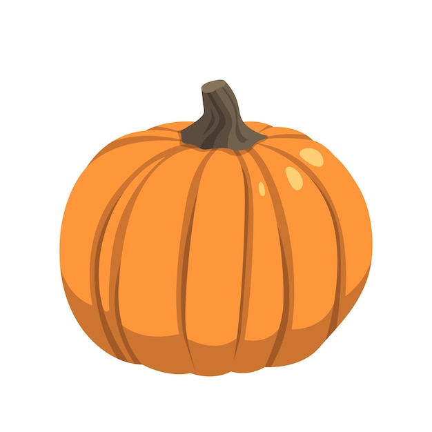 Realistic big orange pumpkin on white background Vector illustration