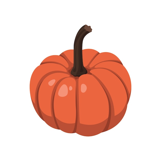 Realistic big orange pumpkin on white background Vector illustration