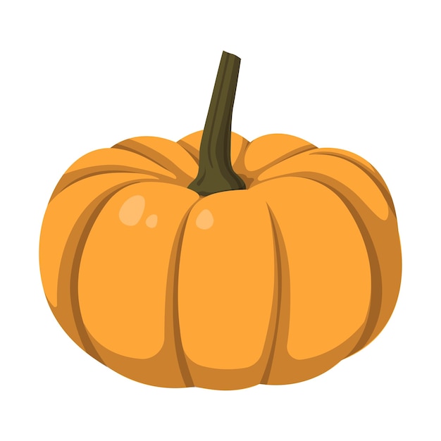 Realistic big orange pumpkin on white background Vector illustration