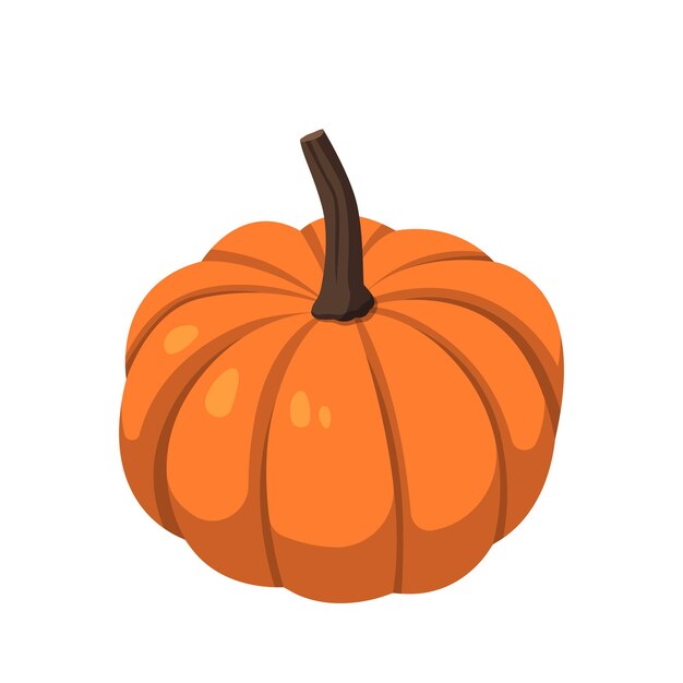 Realistic big orange pumpkin on white background Vector