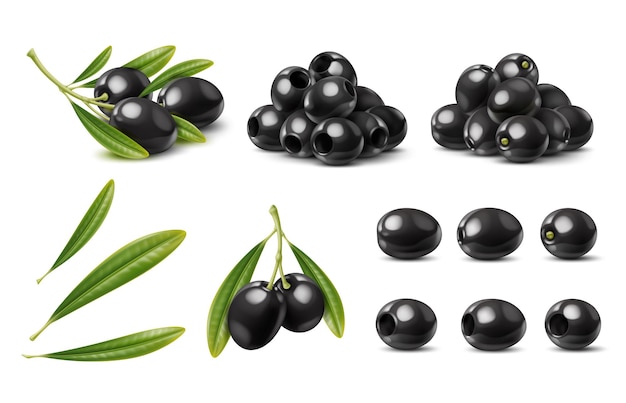 Realistic black olives isolated olive with leaves