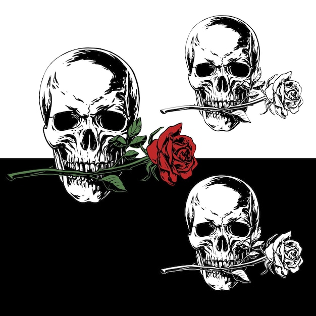 Realistic black and white vector illustration of a skull with a rose